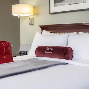 Junior Queen Suite